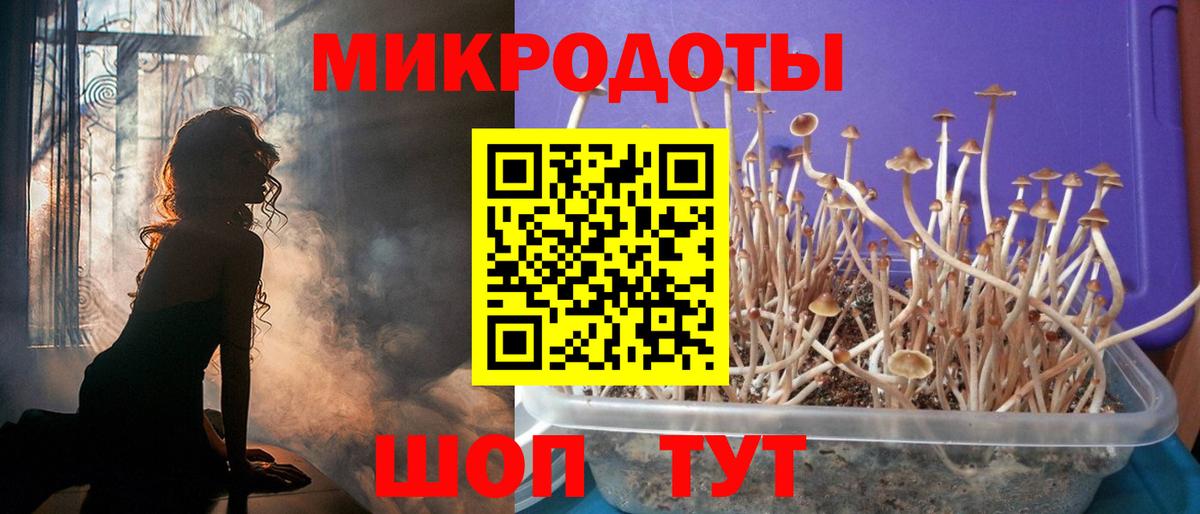 Галлюциногенные грибы GOLDEN TEACHER  наркошоп  Ипатово  Вход с VPN 